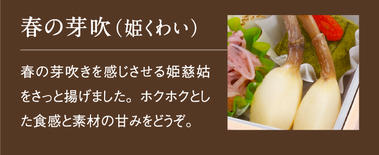 春の芽吹（姫くわい）