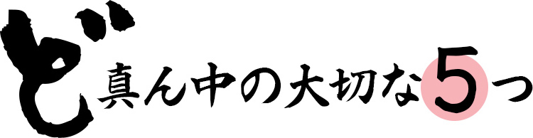 ど真ん中の大切な5つ